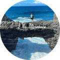 avis-ile-maurice